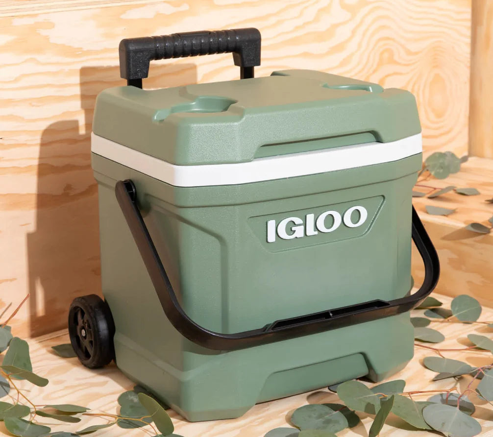Ice Cooler | 16 Qt | Made with Post-Consumer Recycled Resin
